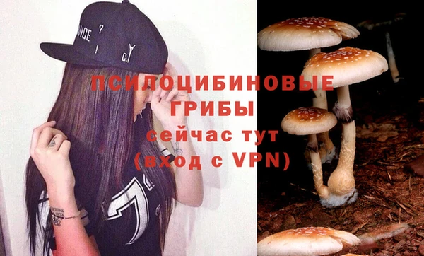 дурь Иннополис