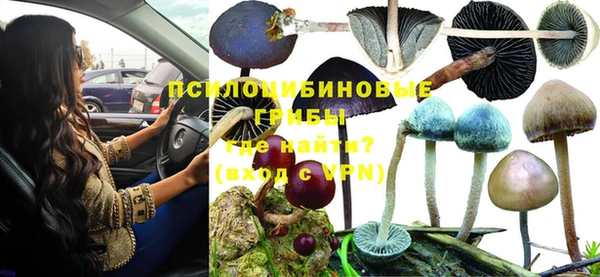 таблы Гусиноозёрск