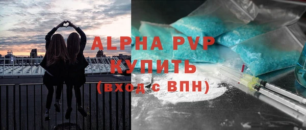 ешки Инта