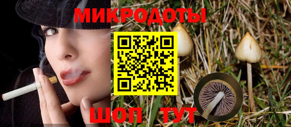 Псилоцибиновые грибы мухоморы Новошахтинск